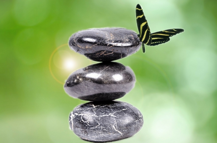 steine-schmetterling